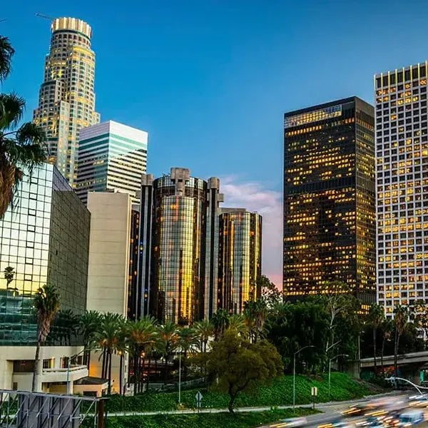 Los Angeles: Journeys Through Grit and Glamor