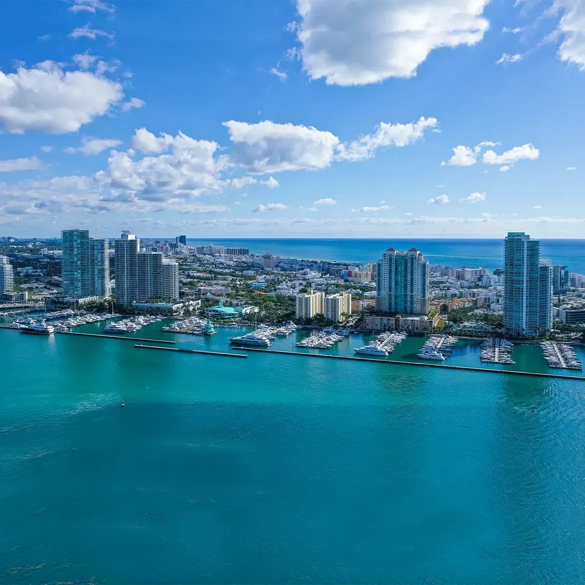 Miami Life Unveiled