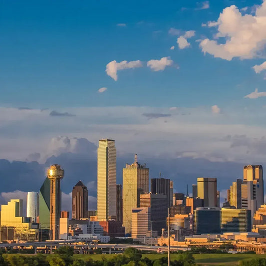 Dallas: An Immersive Guide