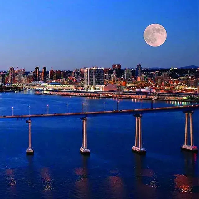 A Journey Through San Diego