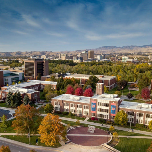 Boise: An Immersive Mosaic