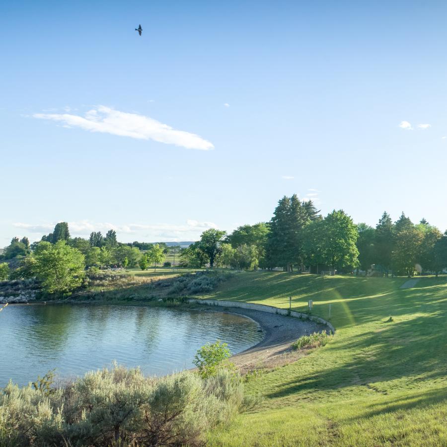 Bridgeport: Voices of the Harbor