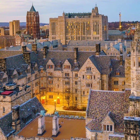 New Haven: Echoes of Elm City