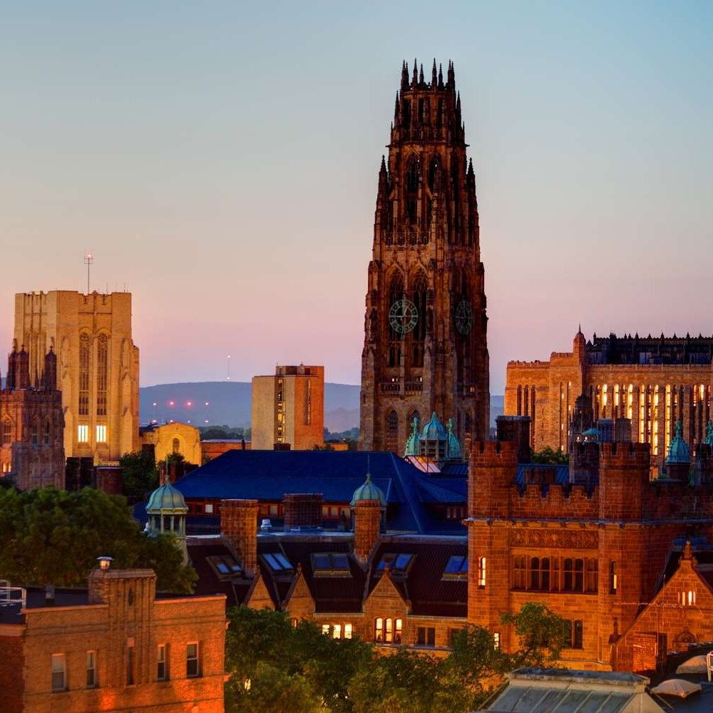 New Haven: Echoes of Elm City