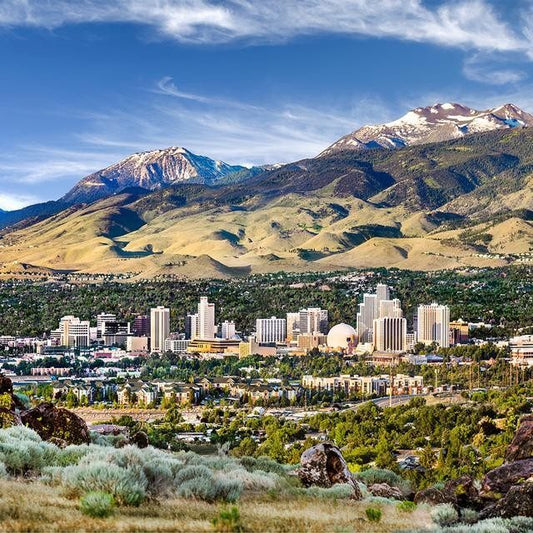Reno: The Biggest Little City
