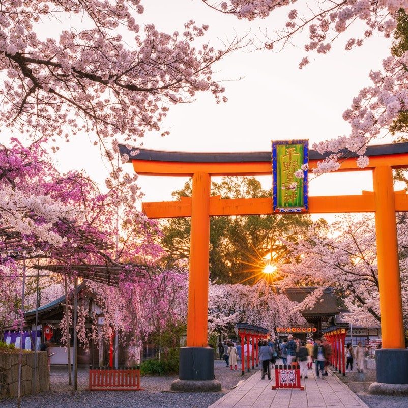 Whispers of Kyoto: A Journey Through Time