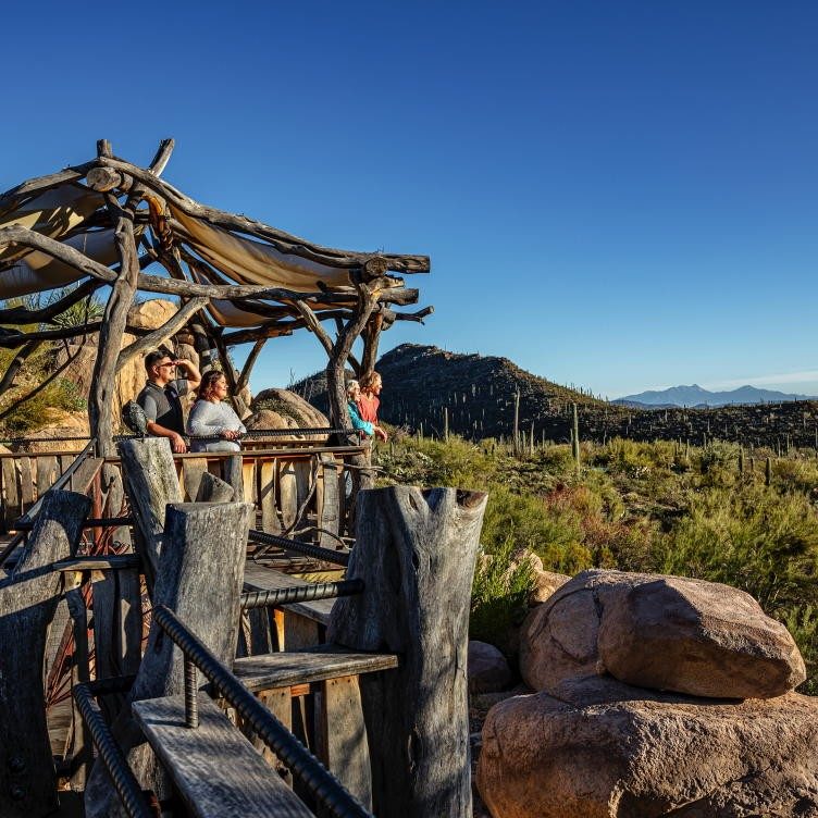 Tucson: Desert Whispers