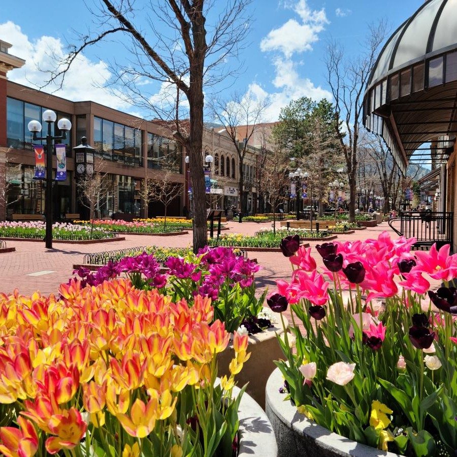 Boulder's Rhythms: An Audio Journey