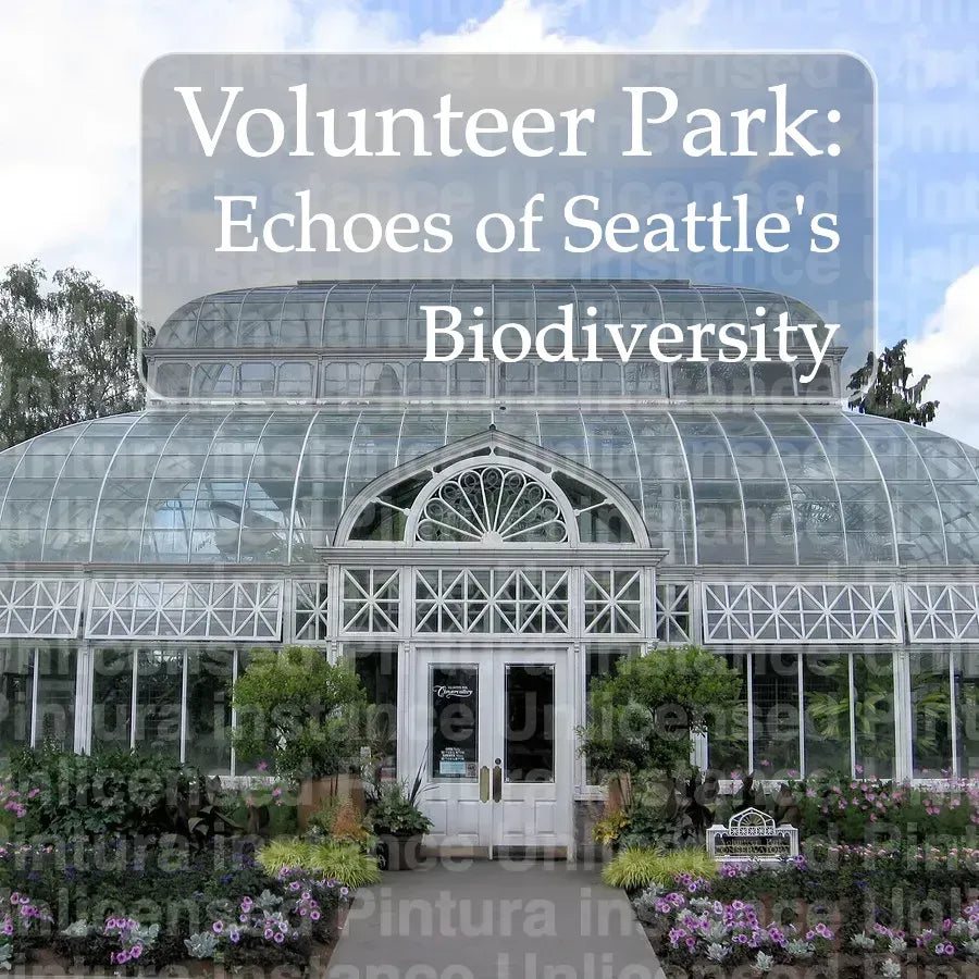 Volunteer Park: Echoes of Seattle's Biodiversity
