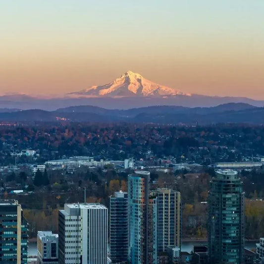 Portland's Pulse: An Audio Journey