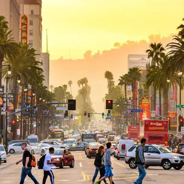 Los Angeles: Journeys Through Grit and Glamor