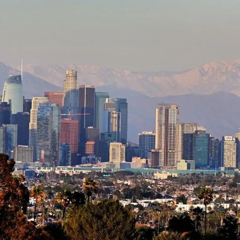 Los Angeles: Journeys Through Grit and Glamor