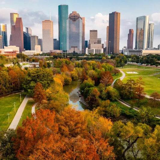 Houston: A Sonic Journey