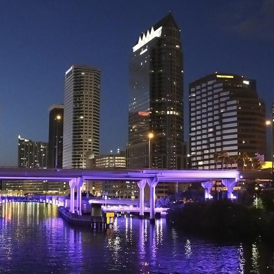 Tampa: Stories of the Bay