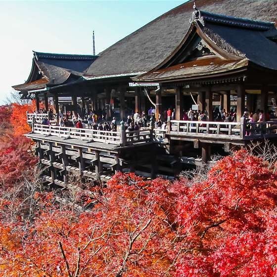 Whispers of Kyoto: A Journey Through Time