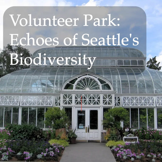 Volunteer Park: Echoes of Seattle's Biodiversity