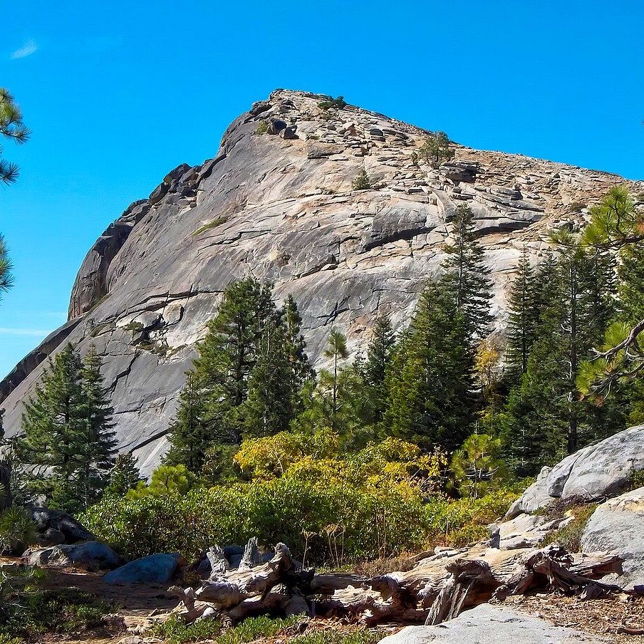 Fresno: History's Reverberations