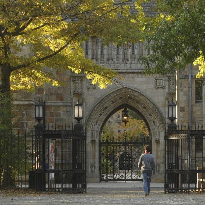 New Haven: Echoes of Elm City