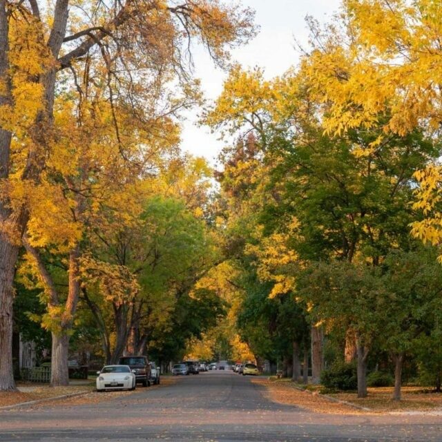 Boise: Natural Beauty, Urban Charm