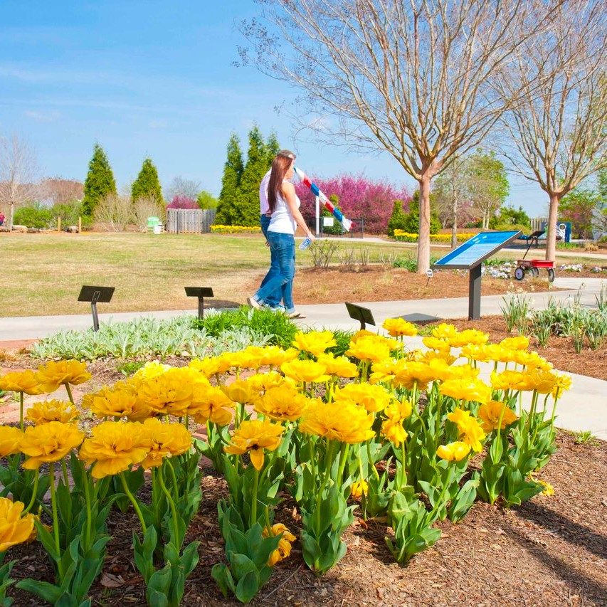 Huntsville: Wonder Through Rocket City