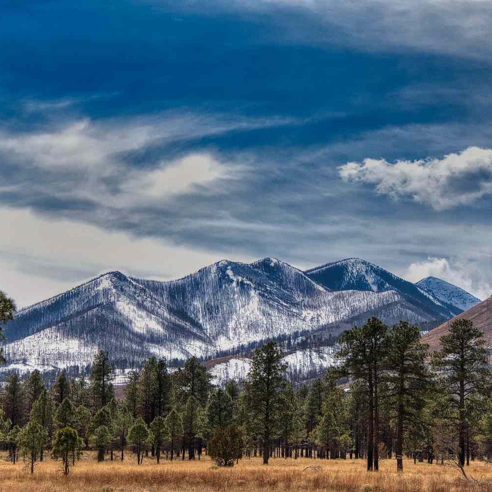 Flagstaff: Where the Landscape Feeds You