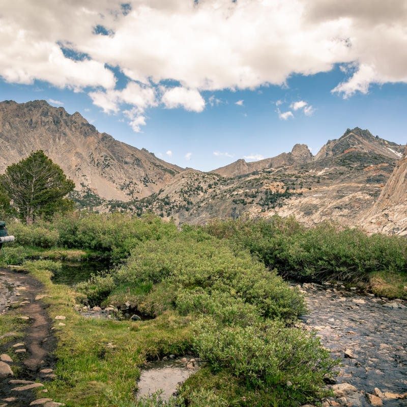 Fresno: History's Reverberations