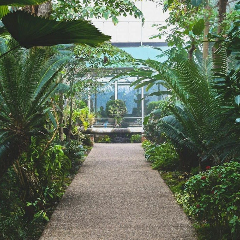 Matthaei Botanical Gardens