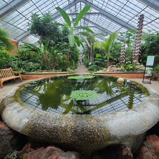 Matthaei Botanical Gardens